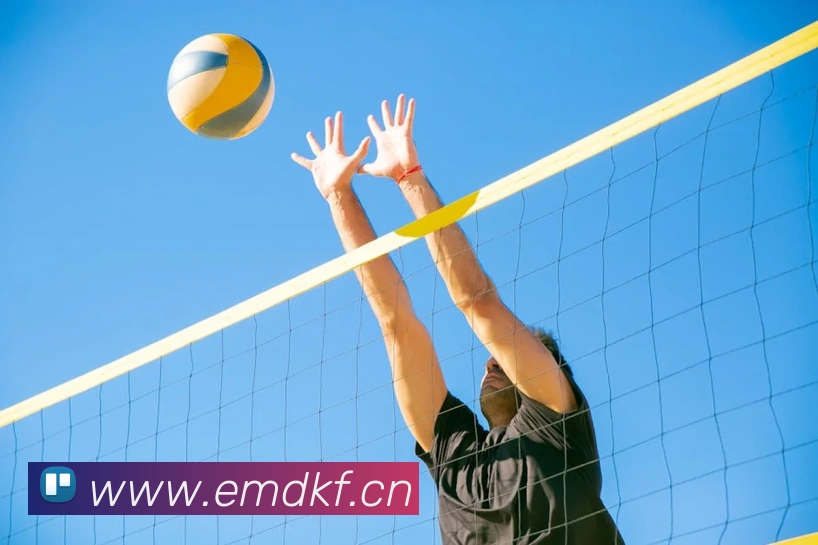 来球网免费直播nba平台生态图